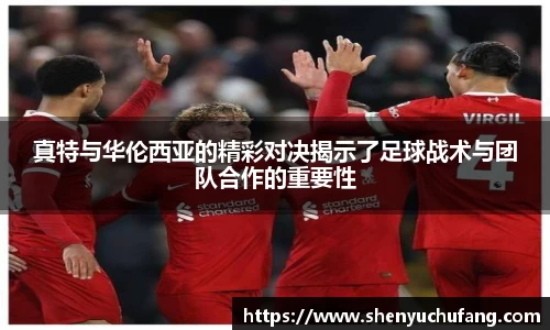 足球直播真特与华伦西亚的精彩对决揭示了足球战术与团队合作的重要性